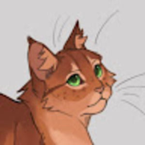 Meet your Posher, Beth schalk